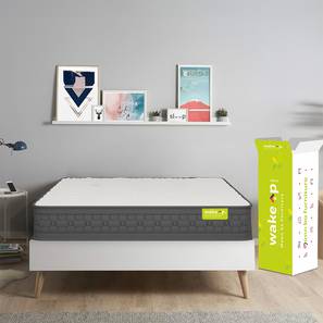 Luxuriate mattress lp