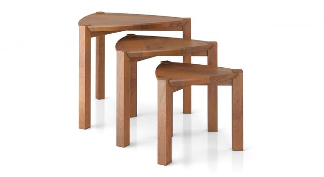 Clapton nested table- Set of 3- Finish- Amber Walnut (Amber Walnut Finish) by Urban Ladder - Side View - 