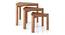 Clapton nested table- Set of 3- Finish- Amber Walnut (Amber Walnut Finish) by Urban Ladder - Side View - 