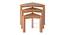 Clapton nested table- Set of 3- Finish- Amber Walnut (Amber Walnut Finish) by Urban Ladder - - 
