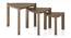 Clapton nested table- Set of 3- Finish- Amber Walnut (Danish Walnut Finish) by Urban Ladder - - 