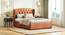 Holmebrook Upholstered Storage Bed (Queen Bed Size, Tan Leatherette) by Urban Ladder - - 