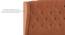Holmebrook Upholstered Storage Bed (Queen Bed Size, Tan Leatherette) by Urban Ladder - - 