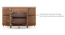 Ramore Sideboard - Finish- Amber Walnut -Metal Channel (Amber Walnut Finish) by Urban Ladder - Top Image - 