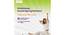 Dreamsway Pocket Spring Mattress 8 inch   Double  Size Mattress (Single Mattress Type, 8 in Mattress Thickness (in Inches), 72 x 48 in Mattress Size, Multicolor) by Urban Ladder - - 