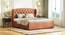 Holmebrook Upholstered Storage Bed (King Bed Size, Tan Leatherette) by Urban Ladder - Close View - 