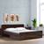 Fvbdst31br72268 lp