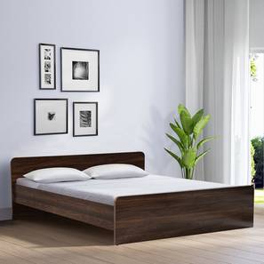 Fvbdst33br72276 lp