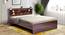 Planck Engineered Wood Non Storage Bed (Queen Bed Size, Columbian Walnut Finish) by Urban Ladder - - 