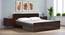 Mateo Storage Bed (Queen Bed Size, 2 Drawer Configuration, Drawer & Box Storage Type, Columbian Walnut Finish) by Urban Ladder - - 