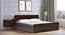 Mateo Storage Bed (Queen Bed Size, 4 Drawer Configuration, Drawer & Box Storage Type, Columbian Walnut Finish) by Urban Ladder - - 