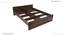 Marisol Non Storage Bed (Queen Bed Size, Columbian Walnut Finish) by Urban Ladder - - 