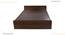 Marisol Non Storage Bed (Queen Bed Size, Columbian Walnut Finish) by Urban Ladder - - 