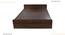 Mateo Storage Bed (Queen Bed Size, 4 Drawer Configuration, Drawer & Box Storage Type, Columbian Walnut Finish) by Urban Ladder - - 