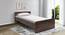 Marisol Non Storage Bed (Single Bed Size, Columbian Walnut Finish) by Urban Ladder - - 