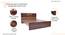 Planck Engineered Wood Non Storage Bed (Queen Bed Size, Columbian Walnut Finish) by Urban Ladder - - 
