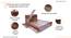 Marlene Engineered Wood Storage Bed (Queen Bed Size, Drawer Storage Type, Columbian Walnut Finish) by Urban Ladder - - 