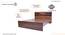 Planck Engineered Wood Non Storage Bed (Queen Bed Size, Columbian Walnut Finish) by Urban Ladder - - 