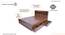 Marlene Engineered Wood Storage Bed (Queen Bed Size, Drawer Storage Type, Columbian Walnut Finish) by Urban Ladder - - 