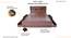 Marlene Engineered Wood Storage Bed (Queen Bed Size, Drawer Storage Type, Columbian Walnut Finish) by Urban Ladder - - 