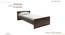 Marisol Non Storage Bed (Single Bed Size, Columbian Walnut Finish) by Urban Ladder - - 