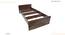 Marisol Non Storage Bed (Single Bed Size, Columbian Walnut Finish) by Urban Ladder - - 