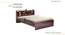 Marlene Engineered Wood Storage Bed (Queen Bed Size, Drawer Storage Type, Columbian Walnut Finish) by Urban Ladder - - 