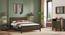 Masai Solid Wood Queen Size Non-Storage Bed In American Walnut - 2 Tone Finish (King Bed Size, American Walnut Finish) by Urban Ladder - Full View - 