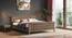 Baori Solid Wood Queen Size Non-Storage Bed In Honey Finish (King Bed Size, HONEY Finish) by Urban Ladder - Full View - 1004201