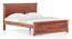 Fidora Solid Wood Non Storage Bed (Queen Bed Size, Honey Finish) by Urban Ladder - Side View - 