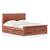 Fnbdst11hk16440 lp