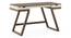 Truman study table -Creamy crust- Finish- Danish Walnut (Danish Walnut Finish) by Urban Ladder - - 