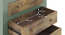 Avelin Chest of Drawer-Finish- Sage green with Burnt mango - Metal Channel (Sage Green Finish) by Urban Ladder - - 