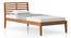 Elwyn Non-Storage Single Bed -Finish- Amber Walnut (Single Bed Size, Amber Walnut Finish) by Urban Ladder - - 