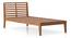 Elwyn Non-Storage Single Bed -Finish- Amber Walnut (Single Bed Size, Amber Walnut Finish) by Urban Ladder - - 