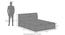 Jenning Solid Wood Queen Size Box Storage Bed In Honey Finish, Fabric - Olive Green Honduras (King Bed Size, HONEY Finish, Hydraulic Storage Type) by Urban Ladder - - 1005582
