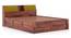 Jenning Solid Wood Queen Size Box Storage Bed In Honey Finish, Fabric - Olive Green Honduras (Queen Bed Size, Box Storage Type, HONEY Finish) by Urban Ladder - - 1005600