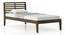 Elwyn Non-Storage Single Size Bed (Single Bed Size, Danish Walnut Finish) by Urban Ladder - - 