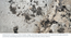 Lunar Alaska Exotic Stone 4 Seater Dining Table with set of 4 Bren Swivel Dining Chairs (Ivory, Danish Walnut Finish, 4 No of Chairs, 4 Table Seating Capacity) by Urban Ladder - - 1006107