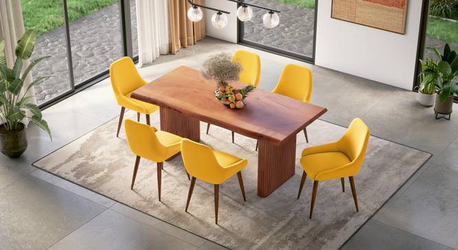 Heston Solid Wood 6 Seater Dining Table with 6 Rickman Lounge Chair (Acacia Finish, Matty Yellow, 6 No of Chairs, 6 Table Seating Capacity) by Urban Ladder - - 1006156