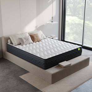 Super Deals Mattress Design Riserox Pocket Spring Mattress - Queen Size (Queen Mattress Type, 10 in Mattress Thickness (in Inches), 75 x 66 in Mattress Size)