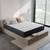 Riserox mattress lp