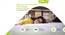 Riserox Pocket Spring Mattress - Double Size (8 in Mattress Thickness (in Inches), Double Mattress Type, 84 x 42 in Mattress Size) by Urban Ladder - - 