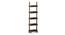 Austen Bookshelf Display Unit 45-Book Capacity (Danish Walnut Finish) by Urban Ladder - - 
