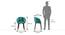 Atlas Solid Wood 6 Seater Compact Dining Table with 6 Meryl Lounge Chair (Teal, HONEY Finish, 6 No of Chairs, 6 Table Seating Capacity) by Urban Ladder - - 
