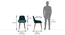 Atlas Solid Wood 4 Seater Dining Table With Rickman Lounge Chairs (HONEY Finish, Jade Blue, 4 No of Chairs, 4 Table Seating Capacity) by Urban Ladder - Dimension - 1009250