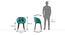 Atlas Solid Wood 4 Seater Dining Table With Meryl Lounge Chairs (Teal, HONEY Finish, 4 No of Chairs, 4 Table Seating Capacity) by Urban Ladder - Dimension - 1009279