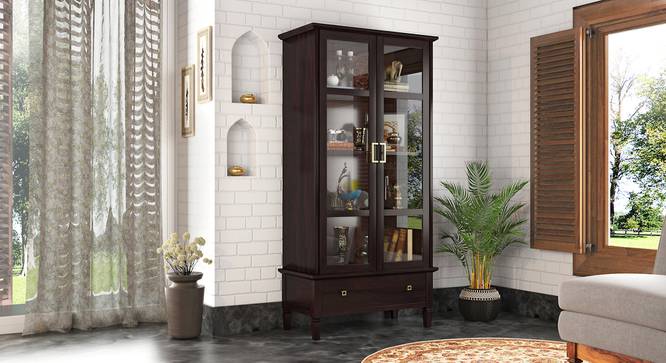 Malabar Bookshelf Display Cabinet 55-book capacity With Buyback no Mango mahogany -Metal Channel (Mango Mahogany Finish) by Urban Ladder - - 