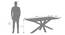 Anderson Solid Wood 8-Seater Dining Table with Rochelle Lounge Chair (Adrian Velvet, Danish Walnut Finish, 8 No of Chairs, 8 Table Seating Capacity) by Urban Ladder - - 1009790