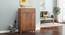 Webster Shoe Cabinet With Lock (15 Pair Capacity, Sheesham Finish) by Urban Ladder - Design 1 Full View - 1009967